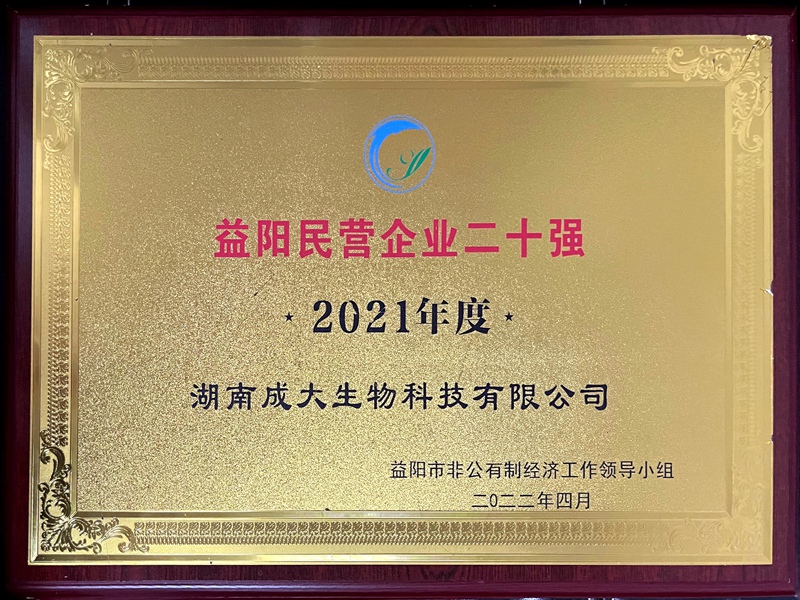 2021年度益阳市民营企业20强